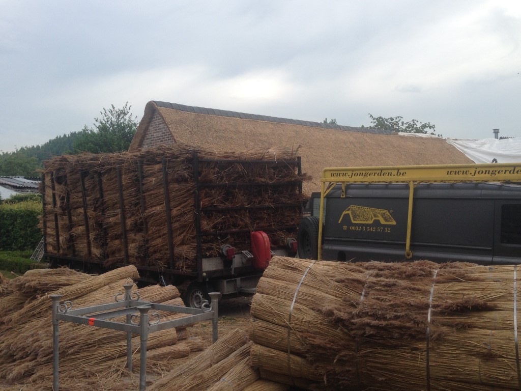 Removal of the old thatch