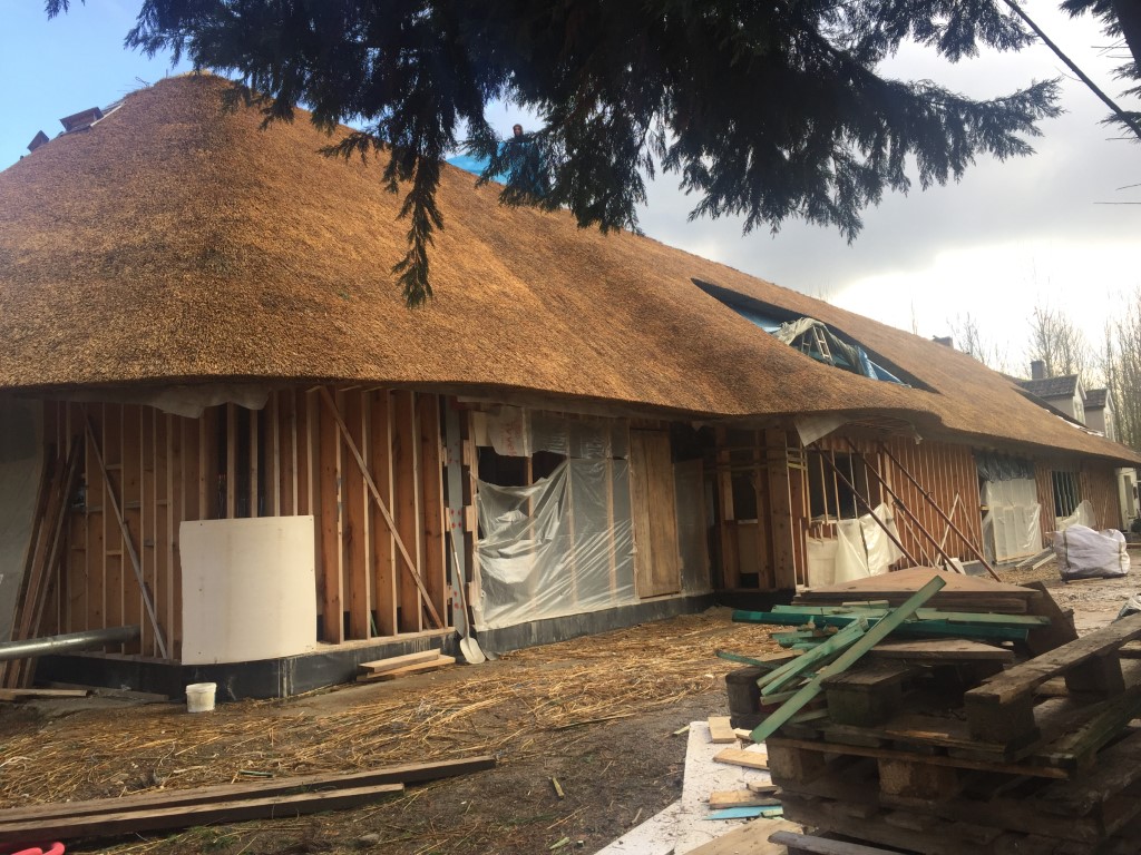 new building thatched roof